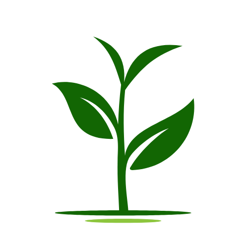 Seedling green